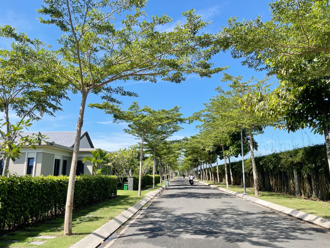 z5222428079343_c14e77853e1c7b0cd7c5a8581efa44c5