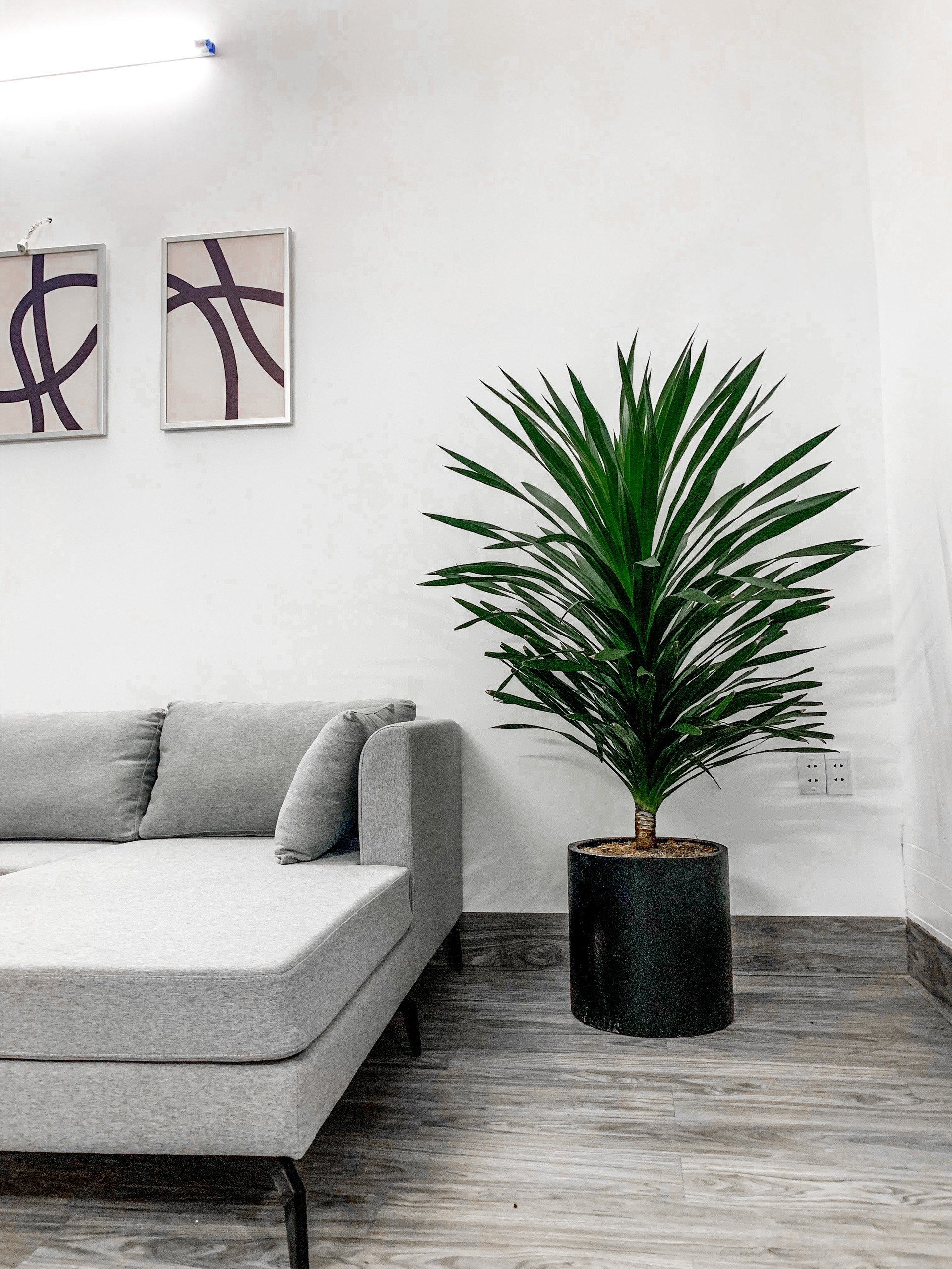 z4651701631485_aab378efe61e2e983763ded8c5d77a9c